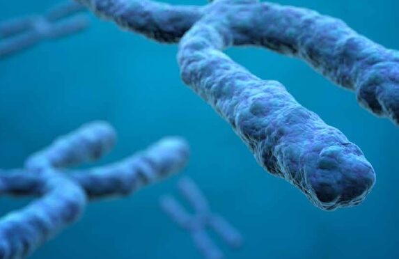 I+S 161 (Octubre 2024)